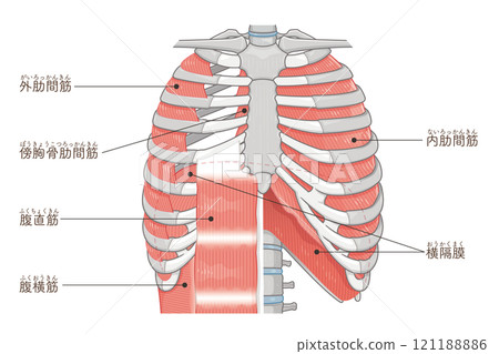 Respiratory accessory illustration 121188886