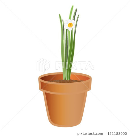 日本水仙花盆的插圖 121188900