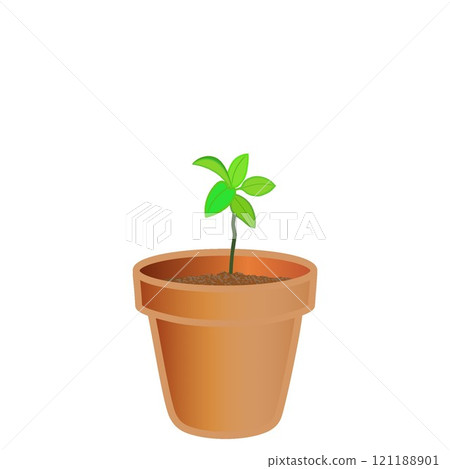 種植幼苗的花盆的插圖 種植幼苗的花盆的插圖 121188901