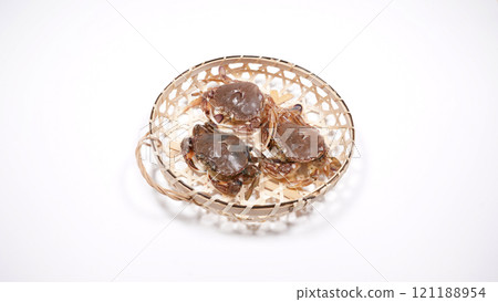 crab  121188954