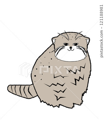 Animal: Pallas's cat Animal: Pallas's cat 121188981