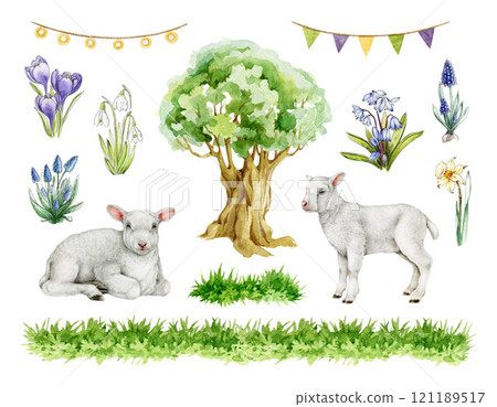 Small cute lamb, springtime flowers, tree, grass element set on white background. Hand drawn sheep with natural elements illustration. Perfect for Easter decor, countryside inspired projects 121189517