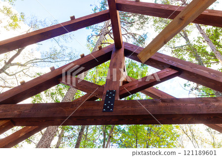 Wooden structure framework gazebo sunlight filters through leaves of towering serene forest trees during construction 121189601