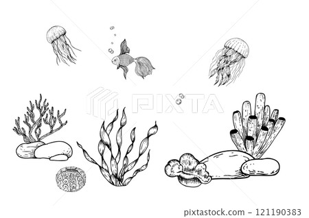 Vector seabed. Pebbles stones, algae, corals. Hand painted line seaweed, tropical gold fish, jellyfish. Graphic rock clip art isolated on background. Underwater illustration. For designers Vector seabed. Pebbles stones, algae, corals. Hand painted line seaweed, tropical gold fish, jellyfish. Graphic rock clip art isolated on background. Underwater illustration. For designers 121190383