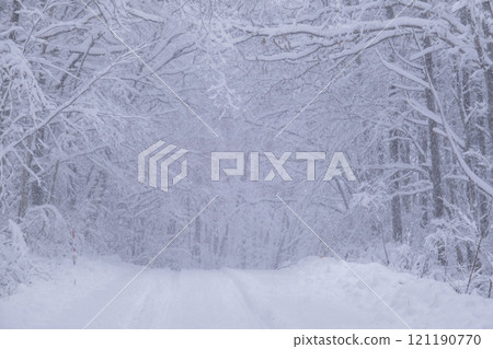 Snowy forest roads - before snow removal - around Onbara Highlands 121190770