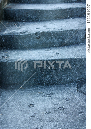 Cat footprints on stairs concrete Cat footprints on stairs concrete 121191097