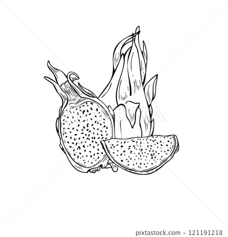 Vector aromatic pitaya cactus hand drawn ink sketch illustration in black. Half, slice and whole sweet ripe dragon fruit composition line art. For summer healthy menu design, coloring book. Vector aromatic pitaya cactus hand drawn ink sketch illustration in black. Half, slice and whole sweet ripe dragon fruit composition line art. For summer healthy menu design, coloring book. 121191218