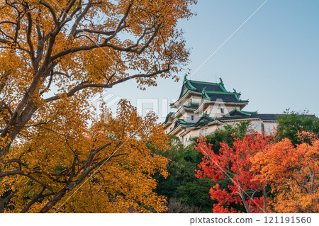 Wakayama Castle, castle tower dyed in autumn leaves Wakayama Castle, castle tower dyed in autumn leaves 121191560