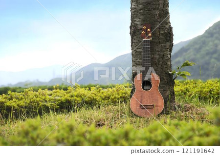 Ukulele, nature, grass, trees, blue sky 121191642