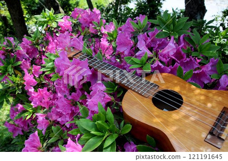 Ukulele Nature Flowers 121191645