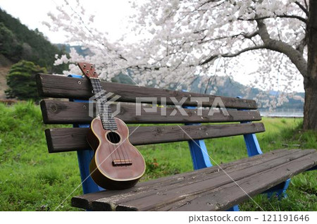 Ukulele Sakura Bench 121191646