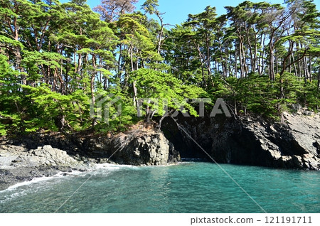 Sanriku Fukko National Park Goishi Coast 121191711
