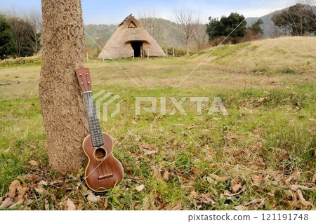 Ukulele Nature Park Green Ukulele Nature Park Green 121191748