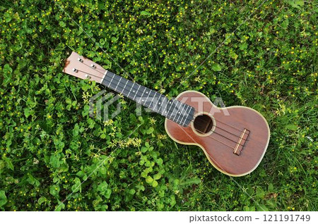 Ukulele, grass, nature, green Ukulele, grass, nature, green 121191749