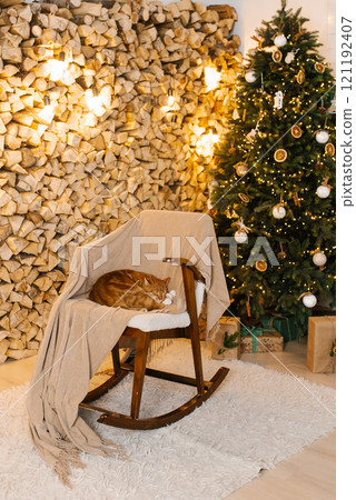 Cute red cat is laying on a rocking chair in front of a Christmas tree. Cozy and festive Cute red cat is laying on a rocking chair in front of a Christmas tree. Cozy and festive 121192407