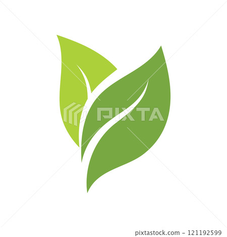 Vegan leaf green eco logo nature 121192599