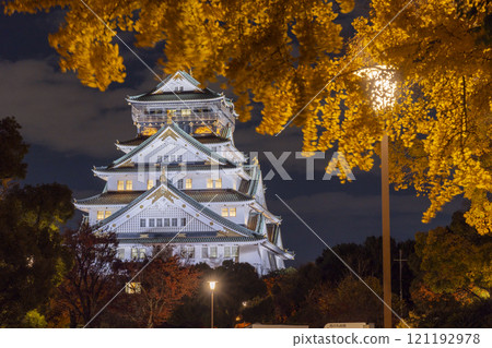 Autumn in Osaka: Yellow ginkgo leaves and illuminated Osaka Castle tower at Honmaru Square Autumn in Osaka: Yellow ginkgo leaves and illuminated Osaka Castle tower at Honmaru Square 121192978