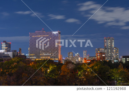 大阪城希爾頓逸林飯店週邊夜景 大阪城希爾頓逸林飯店週邊夜景 121192988