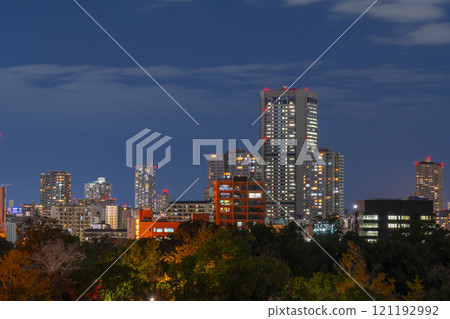 大阪城公園週邊夜景 121192992