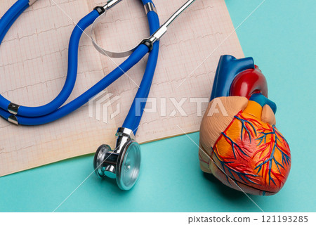 Anatomical model human heart with stethoscope and cardiogram on blue background 121193285