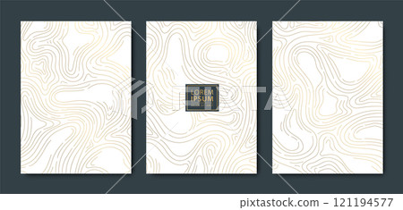 Vector set of abstract gold line wood texture, topography contour, organic nature texture covers, labels, invitations, posters. Wave art. Vector set of abstract gold line wood texture, topography contour, organic nature texture covers, labels, invitations, posters. Wave art. 121194577