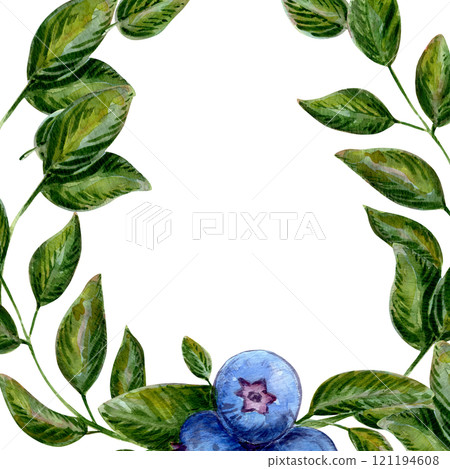 Juicy blueberries and green leaves form a botanical frame. A detailed illustration perfect for nature-themed designs. Foliage and berries create a vibrant border. Art perfect for organic themes 121194608