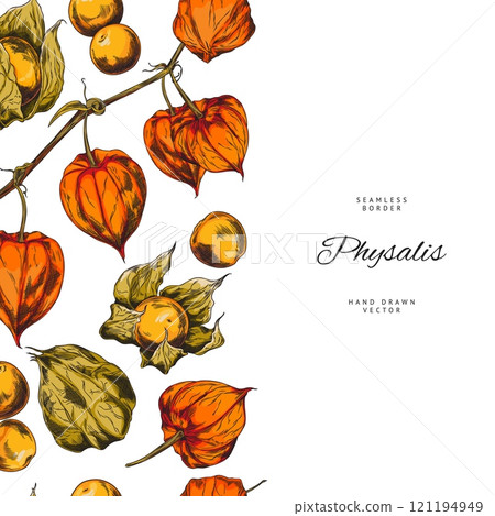 Physalis. Berries, sepals on a branch. Seamless border. Physalis. Berries, sepals on a branch. Seamless border. 121194949
