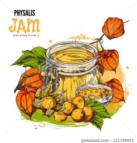 Glass jar with Physalis plant jam, leaves and berries sketch, hand drawn gooseberry fruit farm food product label design 121194953