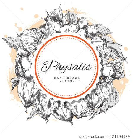 Illustration with round frame with physalis flowers in graphic black and white style. Illustration with round frame with physalis flowers in graphic black and white style. 121194979