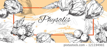Illustration of banner with rectangular frame and physalis in black and white hand drawn style. Illustration of banner with rectangular frame and physalis in black and white hand drawn style. 121194981