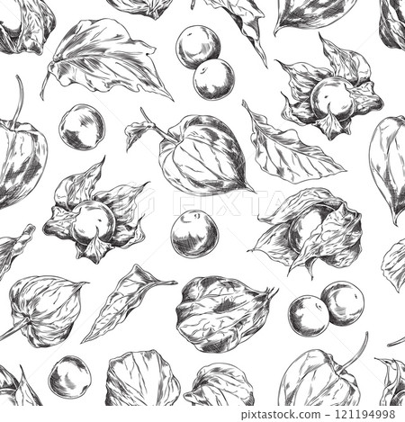 Vector seamless pattern in the style of a black-and-white sketch with fruits, leaves of physalis 121194998
