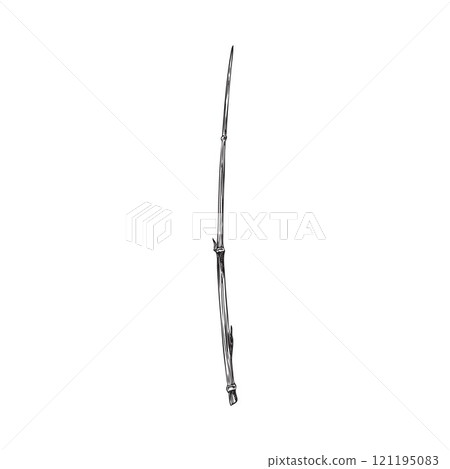 Bamboo plant stalk piece engraved sketch, vector hand drawn Asian nature floral design element, East forest Bamboo twig Bamboo plant stalk piece engraved sketch, vector hand drawn Asian nature floral design element, East forest Bamboo twig 121195083