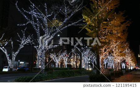 櫸樹大道燈飾 和歌山市 121195415