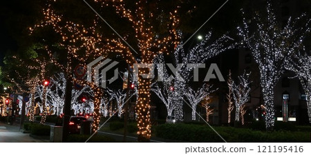 Keyaki Boulevard Illumination, Wakayama City Keyaki Boulevard Illumination, Wakayama City 121195416