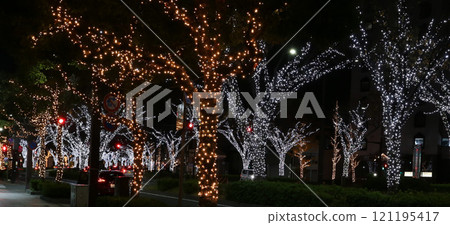 櫸樹大道燈飾 和歌山市 櫸樹大道燈飾 和歌山市 121195417