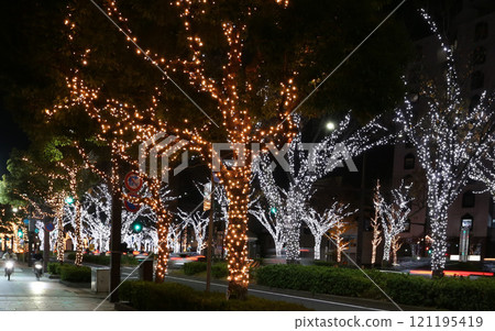 Keyaki Boulevard Illumination, Wakayama City Keyaki Boulevard Illumination, Wakayama City 121195419
