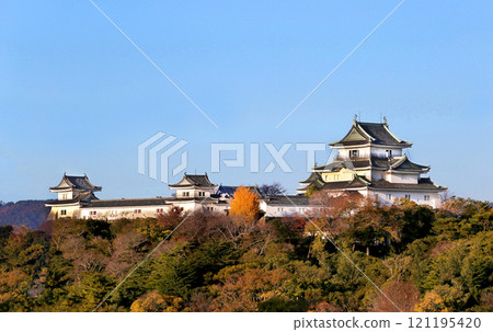 Wakayama Castle in autumn colors, Wakayama City Wakayama Castle in autumn colors, Wakayama City 121195420