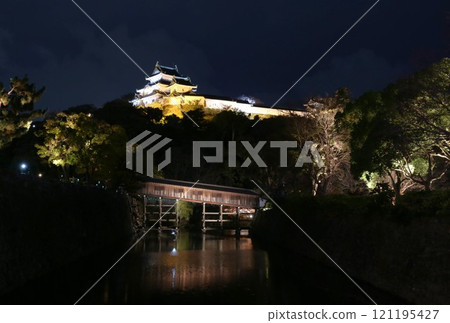 Illuminated Wakayama Castle, Wakayama City 121195427