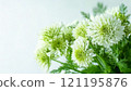 白色花朵的特寫鏡頭。背景簡單 121195876