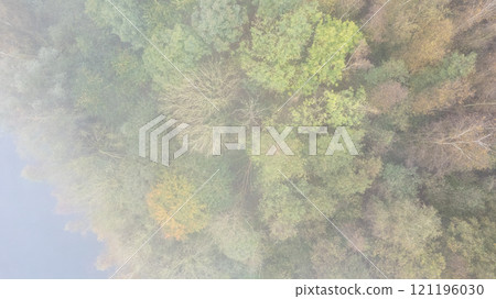 An Aerial View showcasing a Lush Forest displaying Stunning Autumn Colors and hues An Aerial View showcasing a Lush Forest displaying Stunning Autumn Colors and hues 121196030