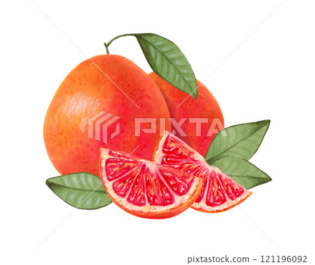 Grapefruit composition. Whole and sliced product with leaves. Watercolor and marker illustration. Eco friendly orange fruit. Hand drawn isolated art. Healthy food for food packaging, juice, menu. Grapefruit composition. Whole and sliced product with leaves. Watercolor and marker illustration. Eco friendly orange fruit. Hand drawn isolated art. Healthy food for food packaging, juice, menu. 121196092