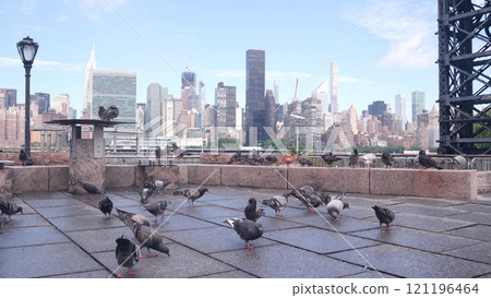 New York City waterfront skyline, Manhattan Midtown riverfront skyscrapers. Cityscape from Queens. 121196464