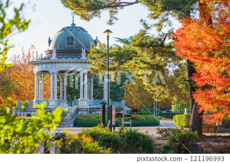 Tsuruma Park's Concert Hall and yellow-colored plane trees (Nagoya City, Aichi Prefecture) 121196993