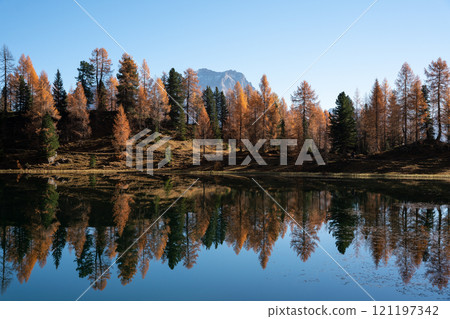 Autumn mountain landscape reflected in an alpine lake in the Dolomites 121197342