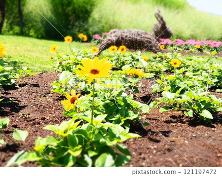 Rabbits and flowers Rabbits and flowers 121197472