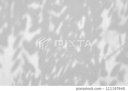 Leaves Shadow on White Stucco Wall Background. Leaves Shadow on White Stucco Wall Background. 121197648