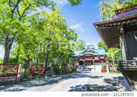 Tamagawa Sengen Shrine covered in fresh greenery [Ota Ward, Tokyo] 121197870