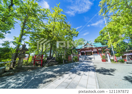 Tamagawa Sengen Shrine covered in fresh greenery [Ota Ward, Tokyo] 121197872