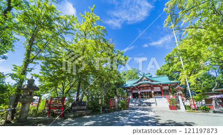 Tamagawa Sengen Shrine covered in fresh greenery [Ota Ward, Tokyo] 121197873