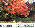 A park with beautiful autumn leaves 121198088